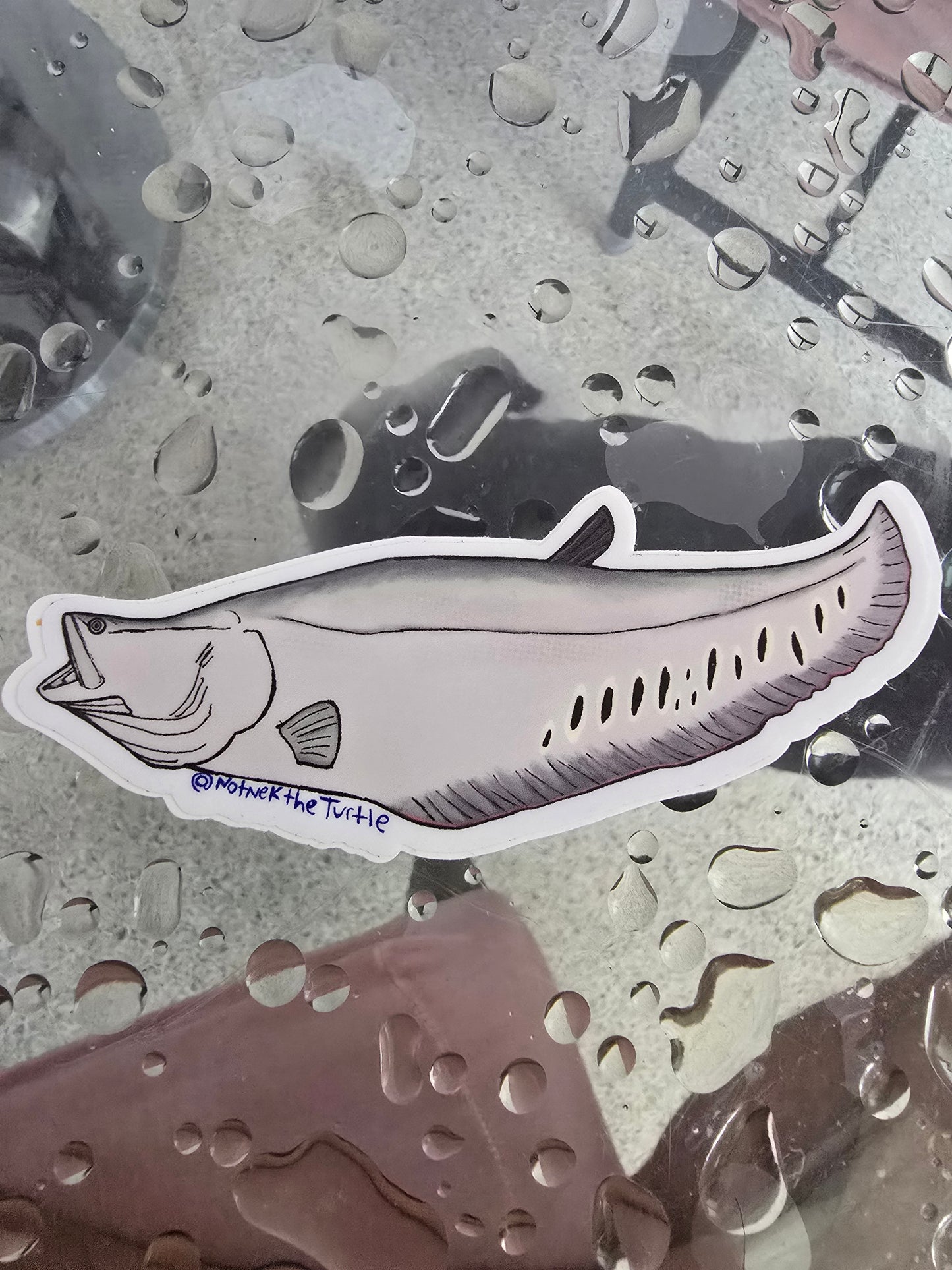 Vinyl Waterproof weatherproof Stickers