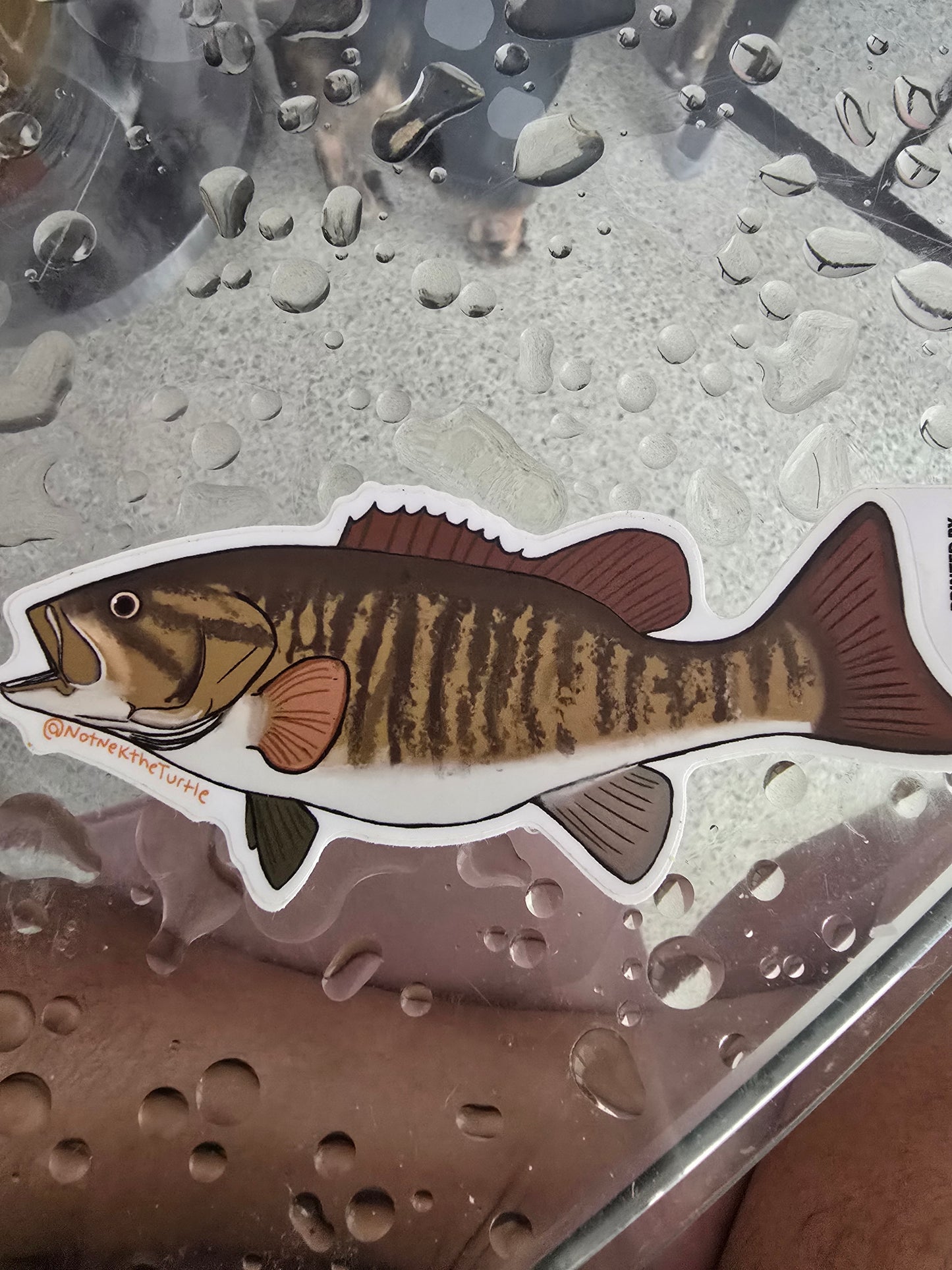 Vinyl Waterproof weatherproof Stickers