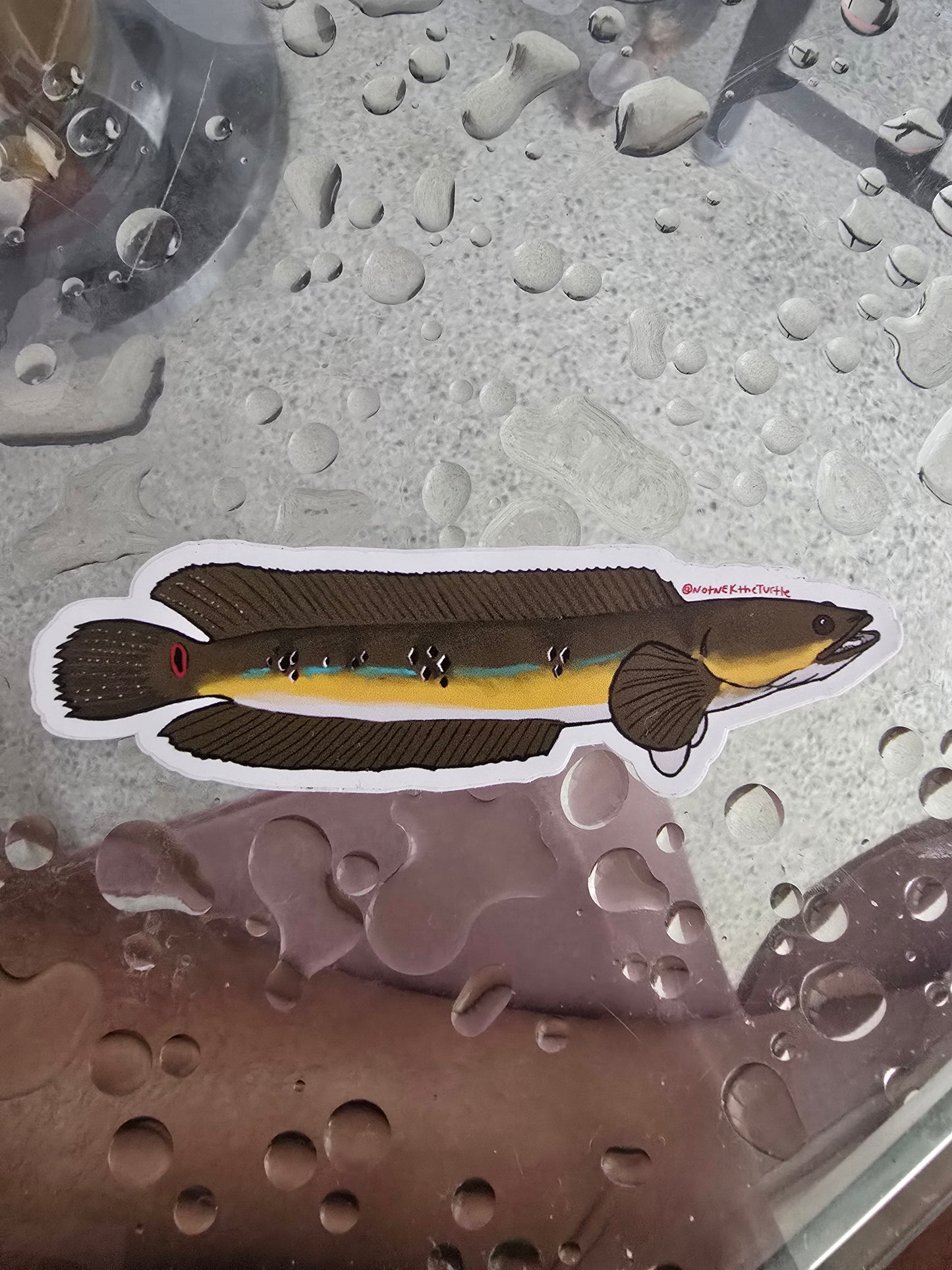 Vinyl Waterproof weatherproof Stickers