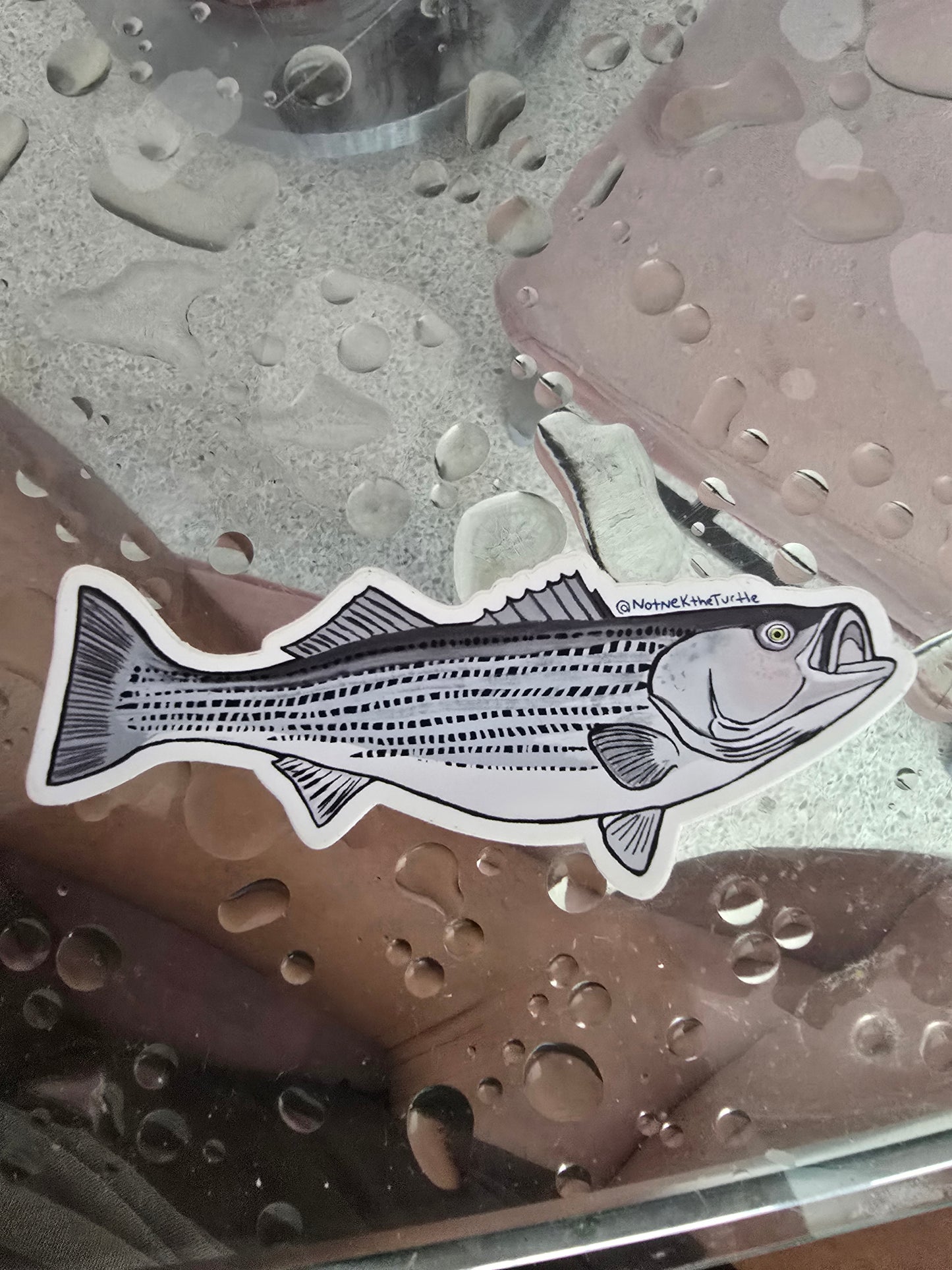 Vinyl Waterproof weatherproof Stickers