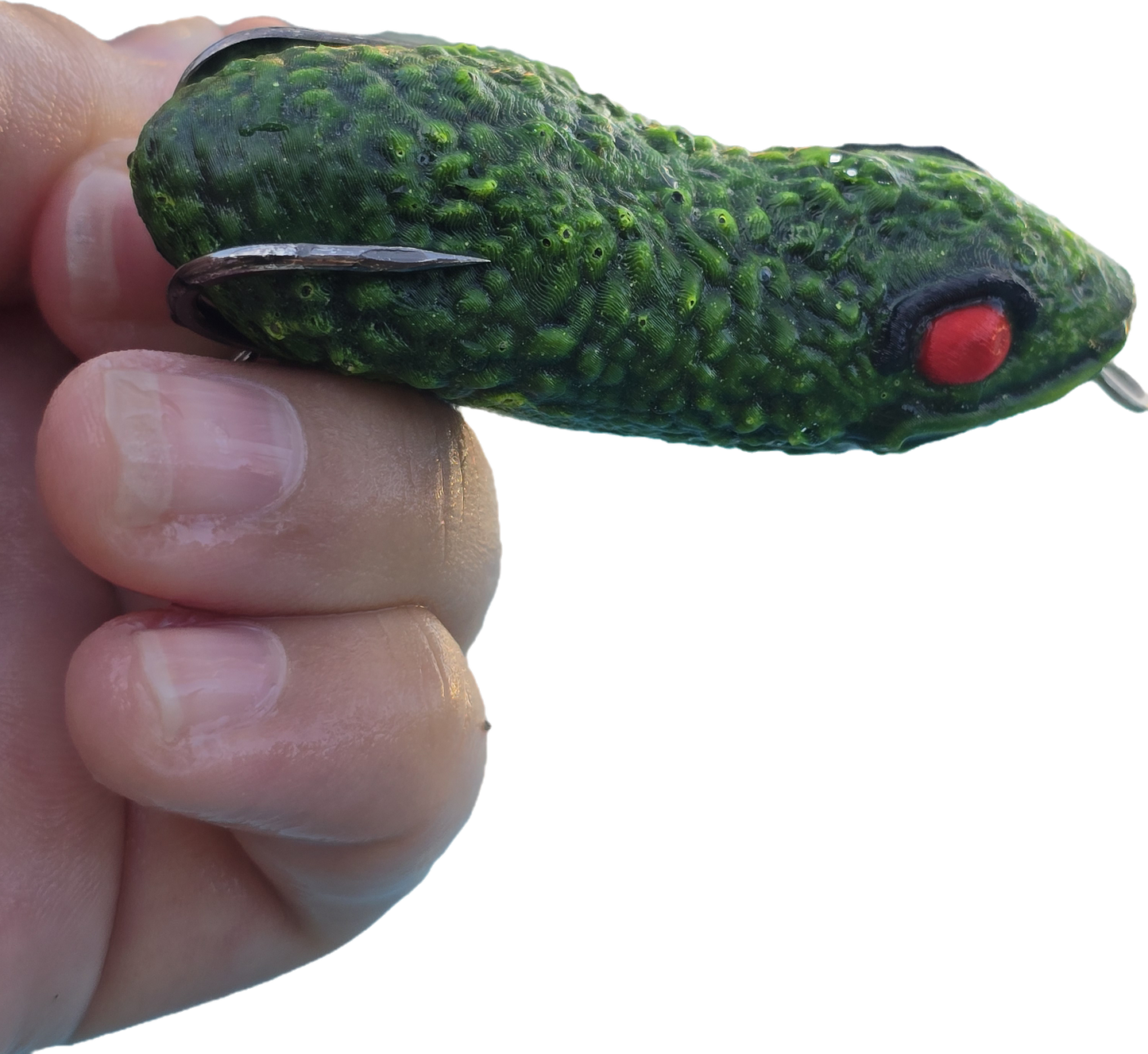 Avocatoad