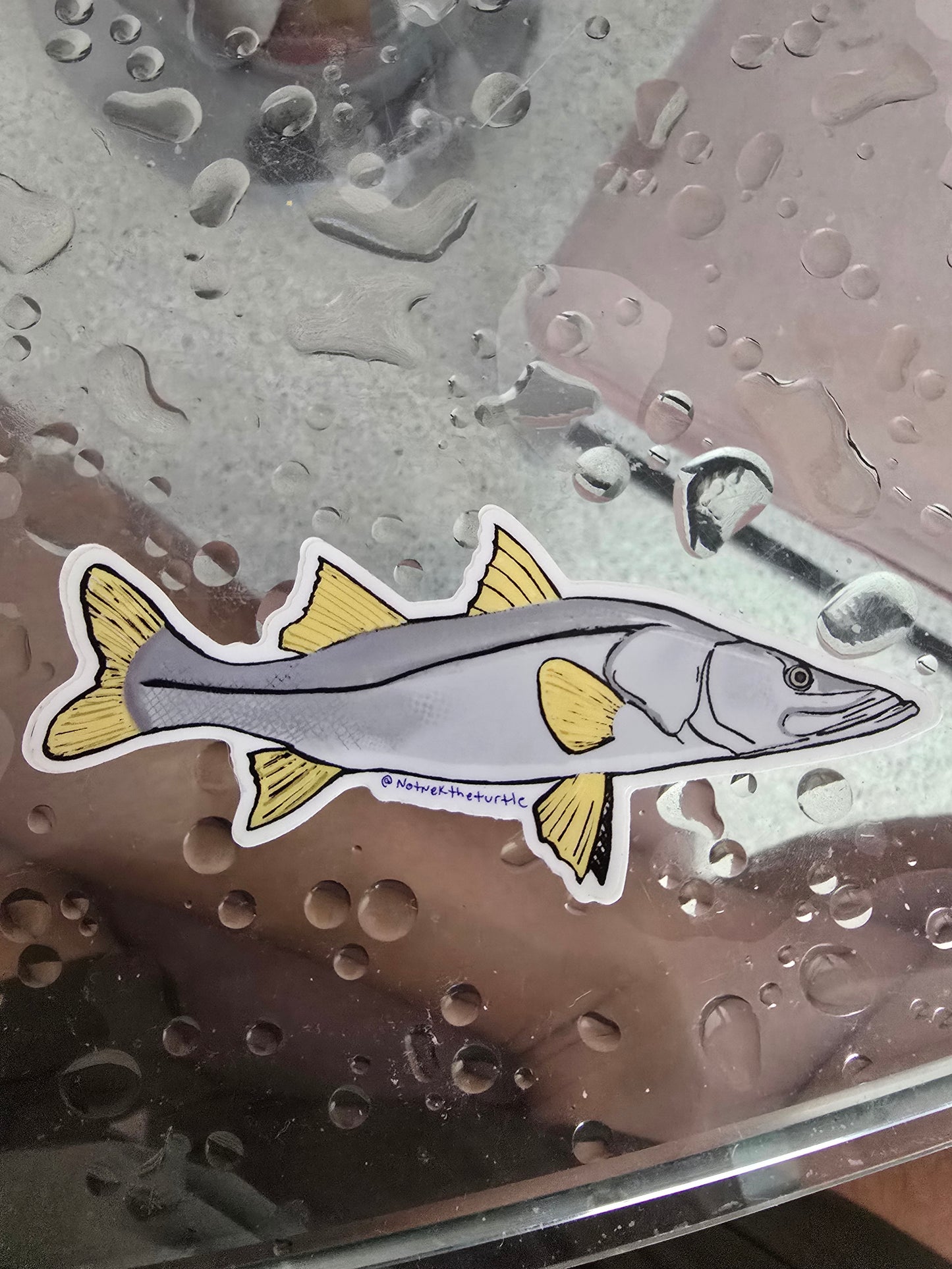Vinyl Waterproof weatherproof Stickers